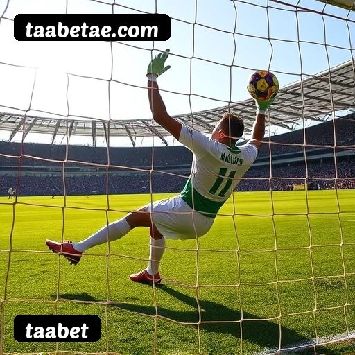 Suporte 24 horas taabet